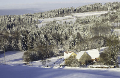 Snow covered trees on field