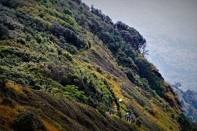 Scenic view of green mountain