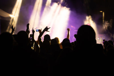 Group of people at music concert