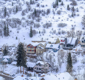 Houses and trees on snow covered field by house