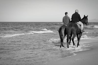 Rear view of people riding horse on beach