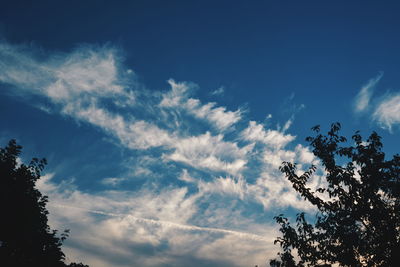 Low angle view of silhouette trees against blue sky