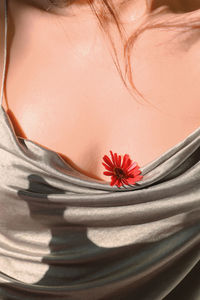 Close-up of red flowering plant