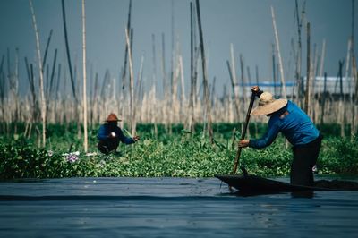 People working on field