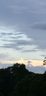 Low angle view of silhouette trees against sky