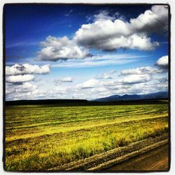 Scenic view of grassy field against cloudy sky