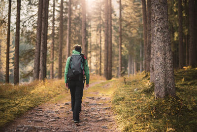 Rear view of man walking on footpath amidst trees in forest