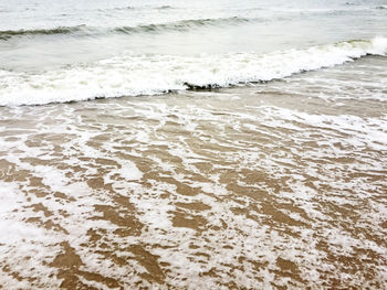 Scenic view of beach