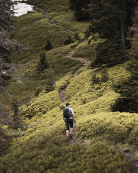 Rear view of man walking on field