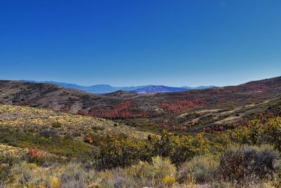 Wasatch front rocky mountains oquirrh mountains hiking yellow fork trail rose canyon salt lake utah