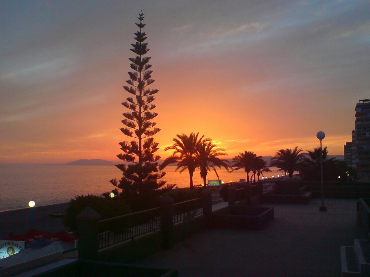 sunset, palm tree, orange color, sky, water, sea, tree, built structure, silhouette, architecture, building exterior, beauty in nature, scenics, tranquility, nature, tranquil scene, cloud - sky, horizon over water, idyllic, dusk