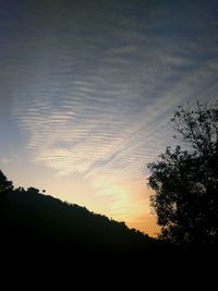 Silhouette trees against sky during sunset