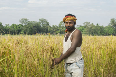 Farmer standing at rice field holding rice paddy 