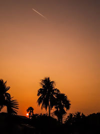 Low angle view of silhouetted palm trees against the romantic sky. 