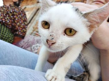 Close-up of person with cat