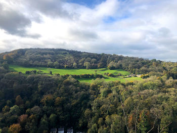 Scenic view of trees growing on field against sky