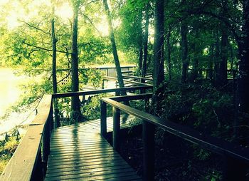 Footbridge in forest