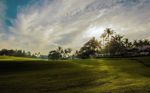 Scenic view of grassy field against sky