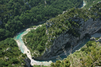 High angle view of river amidst trees in forest