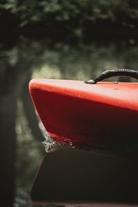 Close-up of red floating on water