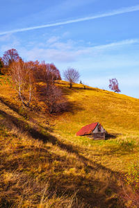 Mountains in the fall season, paltinis area, sibiu county, romania