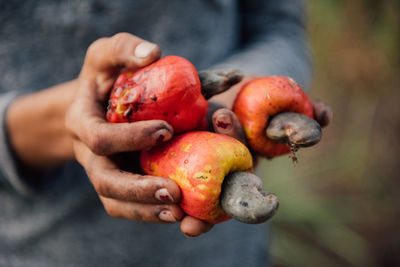 Close-up of person hand holding fruits