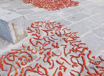 High angle view of red berries on tiled floor