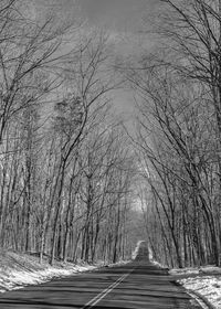 Empty road in forest during winter