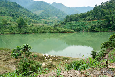 Scenic view of lake and trees against mountains