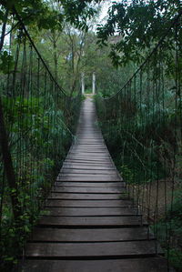 View of wooden footbridge in forest