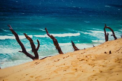 People on beach by sea