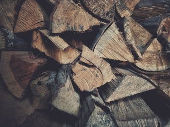 Full frame shot of dead tree