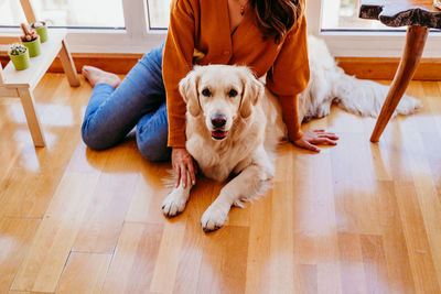 Low section of woman sitting with dog on hardwood floor at home