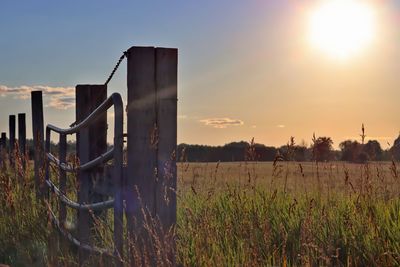 Scenic view of field against sky during sunset