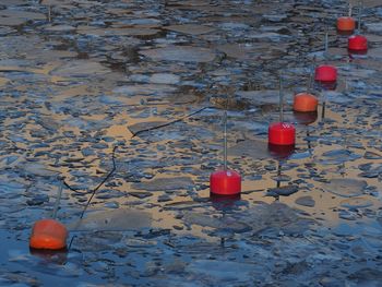 High angle view of red water on sand