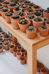 Close-up of potted plants