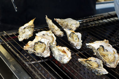 Close-up oysters on barbecue grill