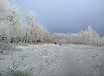 Panoramic view of landscape against sky