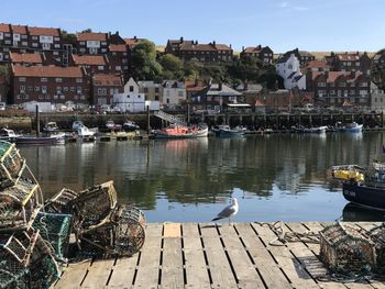 Sailboats in lake by houses against buildings in city