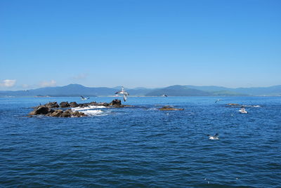 Scenic view of sea against clear blue sky