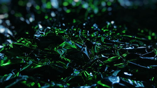 Close-up of water drops on leaves