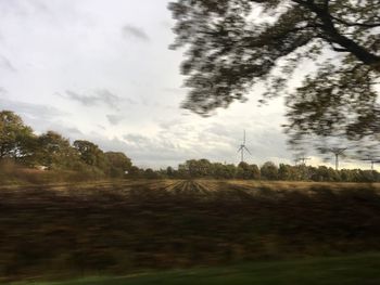 Trees on field against sky