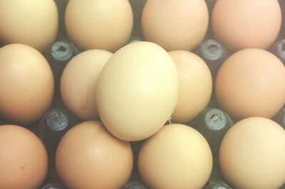 Close-up of eggs in container