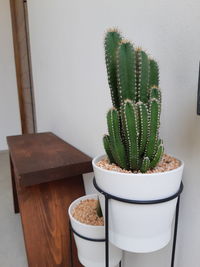 High angle view of potted plant on table at home