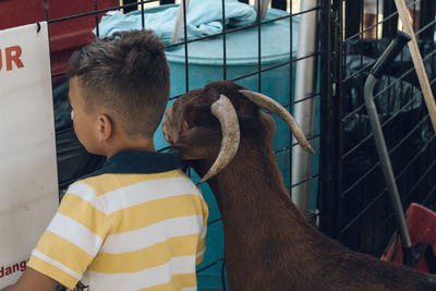 Boy with goat looking through metal fence