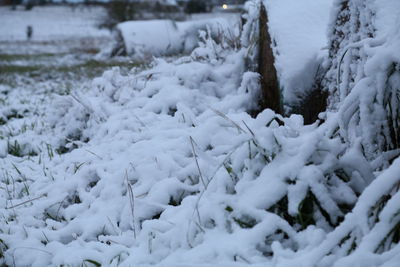 Close-up of snow on field during winter