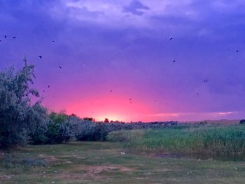 Scenic view of field against sky during sunset