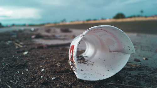 Close-up of abandoned ring on field