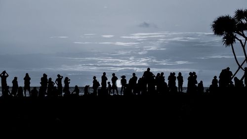 Silhouette people on palm trees against sky