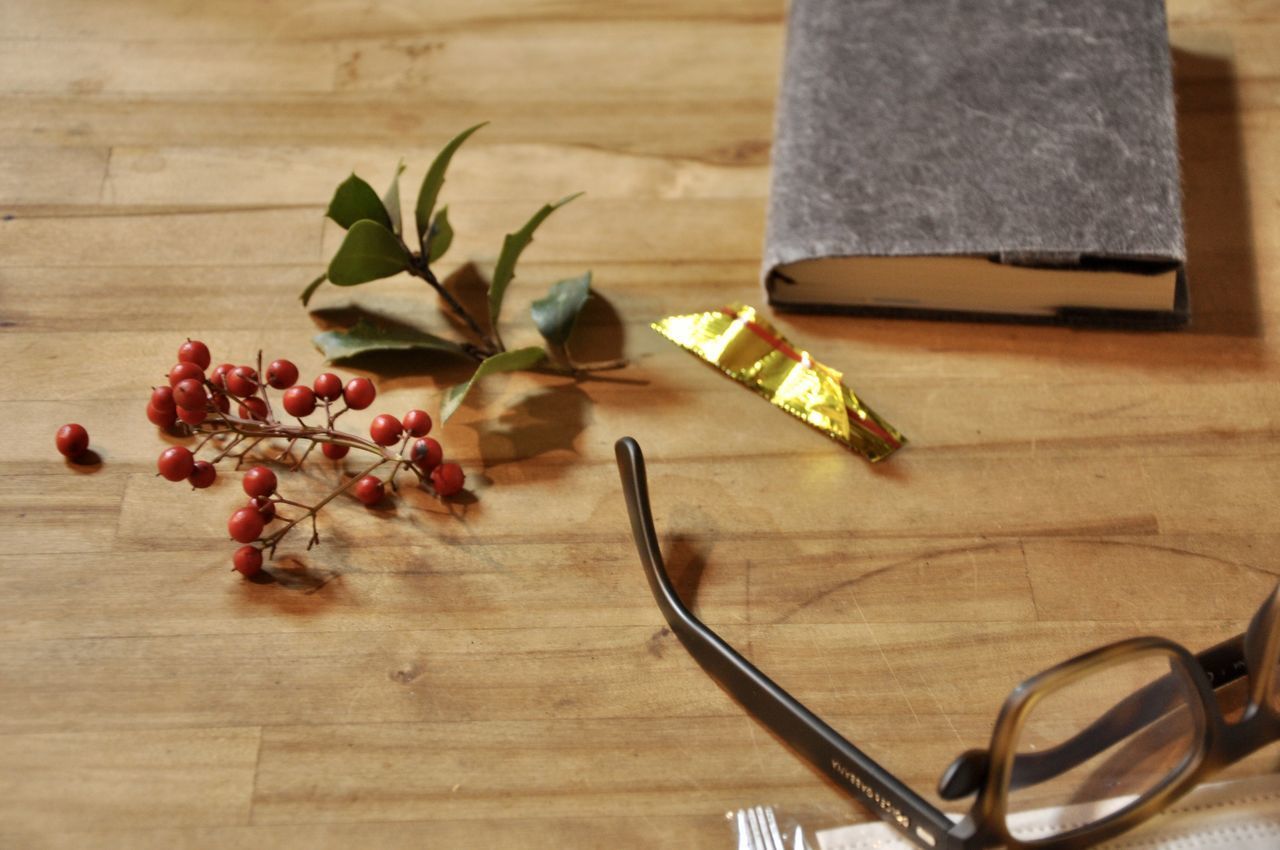 HIGH ANGLE VIEW OF POTTED PLANT ON TABLE AGAINST WALL